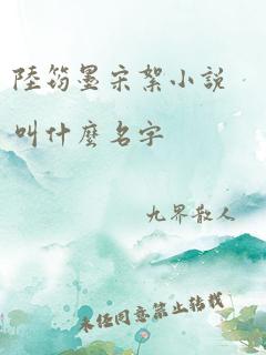 陆筠墨宋絮小说叫什么名字