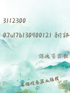 311230007ul7b130900121 翻译