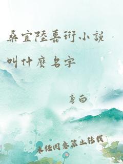 桑宜陆嘉珩小说叫什么名字