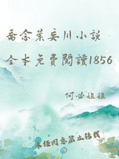 乔念叶妄川小说全本免费阅读1856