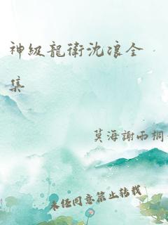 神级龙卫沈浪全集