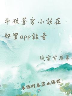 斗破苍穹小说在哪里app能看