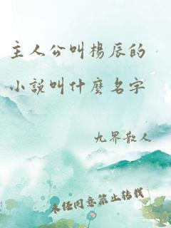 主人公叫杨辰的小说叫什么名字