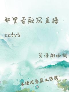 哪里看欧冠直播 cctv5