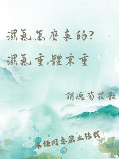 湿气怎么来的?湿气重,体寒重