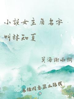 小说女主角名字叫林知夏