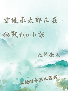 空条承太郎正在挑战fgo小说