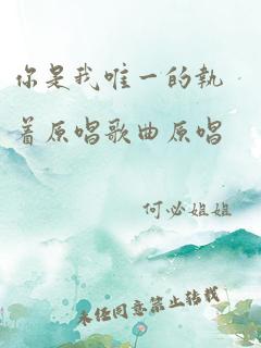 你是我唯一的执着原唱歌曲原唱