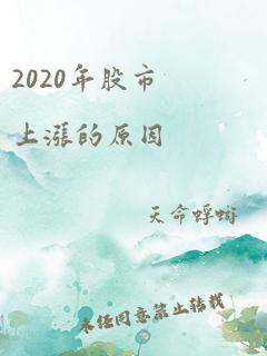 2020年股市上涨的原因