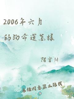 2006年六月的狗命运怎样