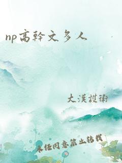 np高干文多人