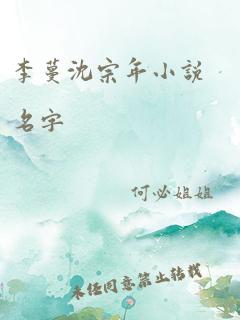 李蔓沈宗年小说名字