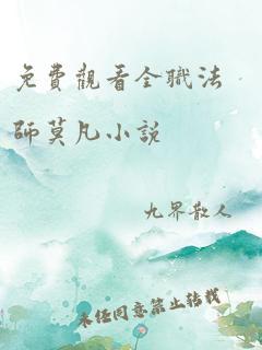 免费观看全职法师莫凡小说