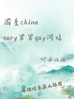 国产chinasary男男gay网站