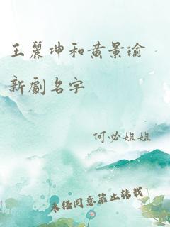 王丽坤和黄景瑜新剧名字