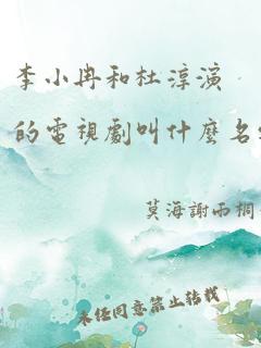 李小冉和杜淳演的电视剧叫什么名字