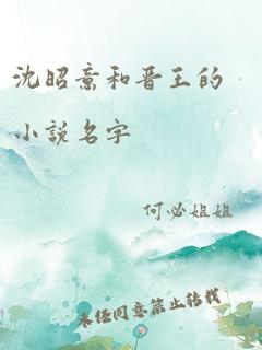 沈昭意和晋王的小说名字