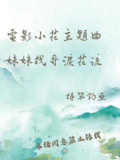 电影小花主题曲妹妹找哥泪花流