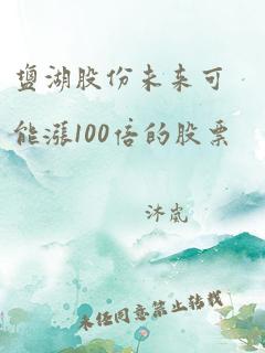 盐湖股份未来可能涨100倍的股票