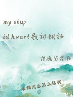 my stupid heart歌词翻译