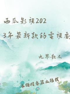 西瓜影视2023年最新款的电视剧