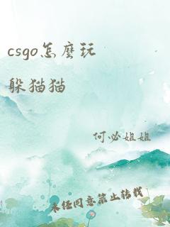 csgo怎么玩躲猫猫