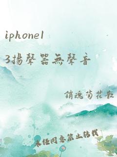 iphone13扬声器无声音