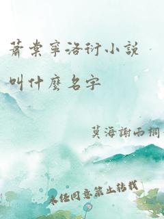 萧棠宁洛衍小说叫什么名字