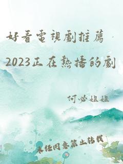 好看电视剧推荐2023正在热播的剧