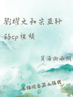 刘耀文和宋亚轩的cp视频