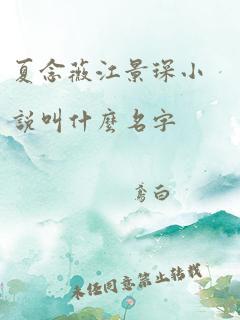 夏念薇江景琛小说叫什么名字