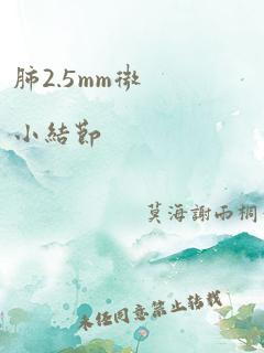 肺2.5mm微小结节