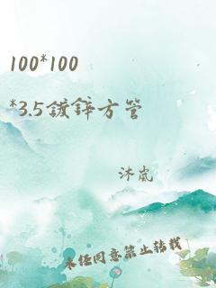 100*100*3.5镀锌方管