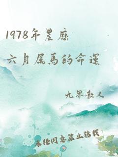 1978年农历六月属马的命运