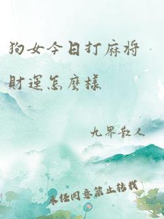 狗女今日打麻将财运怎么样