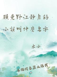 顾尧野江静月的小说叫什么名字