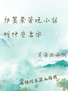 祁墨景萧晚小说叫什么名字