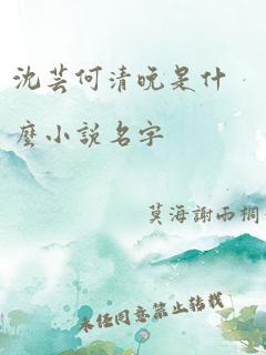 沈芸何清晚是什么小说名字