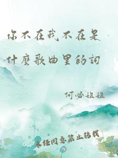 你不在我不在是什么歌曲里的词