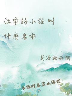 江宇的小说 叫什么名字