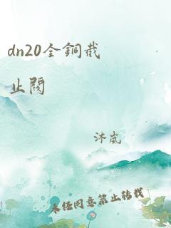 dn20全铜截止阀