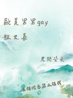 欧美男男gay粗又长