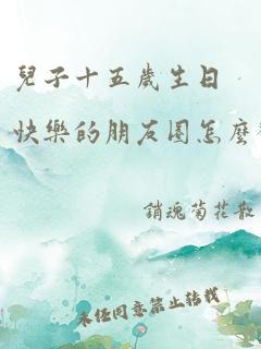 儿子十五岁生日快乐的朋友圈怎么发