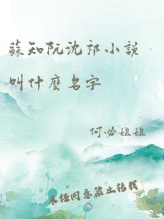 苏知阮沈祁小说叫什么名字