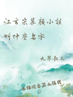 江玄宋慕颜小说叫什么名字