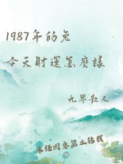 1987年的兔今天财运怎么样