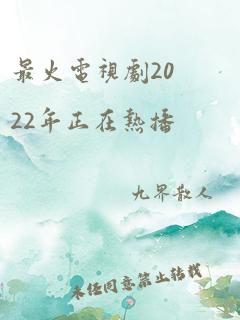 最火电视剧2022年正在热播