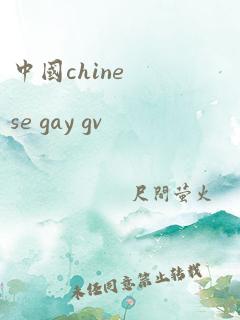 中国chinese gay gv