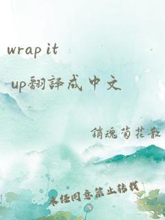 wrap it up翻译成中文