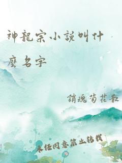 神龙宗小说叫什么名字